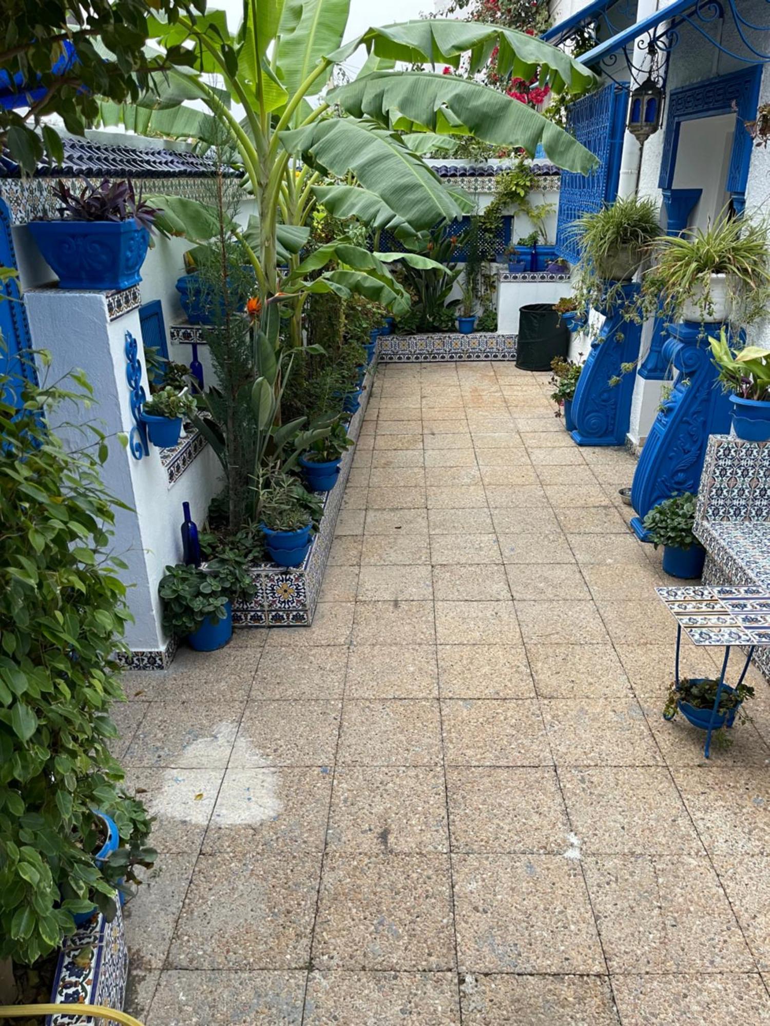 Villa The Blue And White Perle à Sidi Bou Ali Extérieur photo