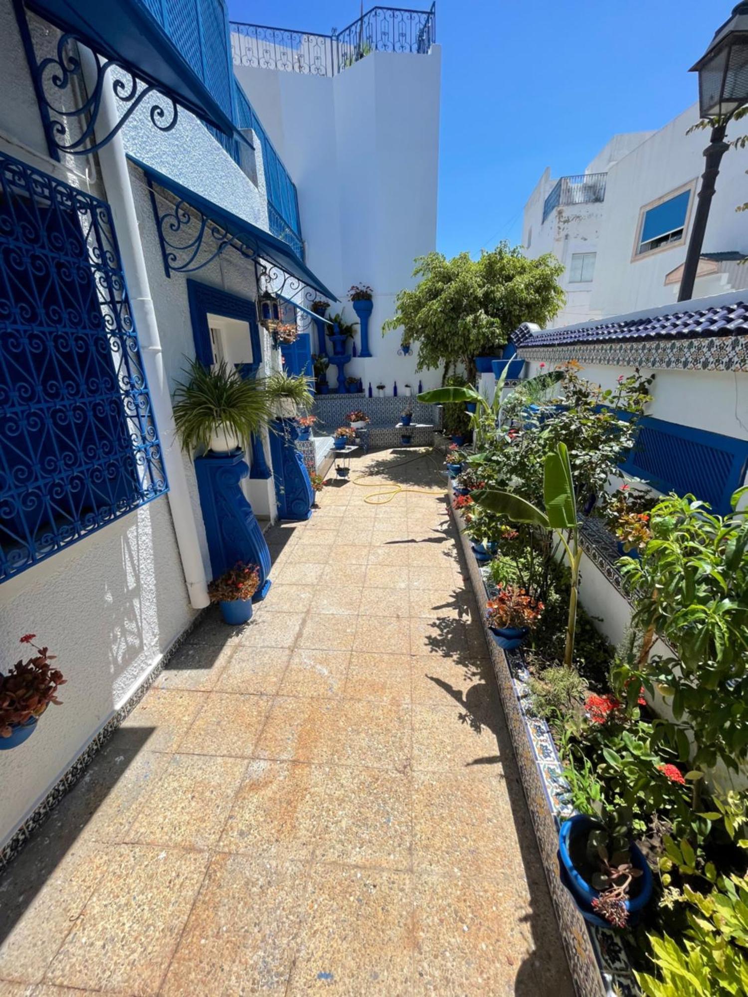 Villa The Blue And White Perle à Sidi Bou Ali Extérieur photo